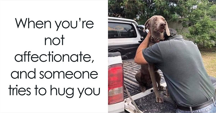 49 Funny Memes Shared By “Dog Memes Galore” That Pet Owners Might Relate To