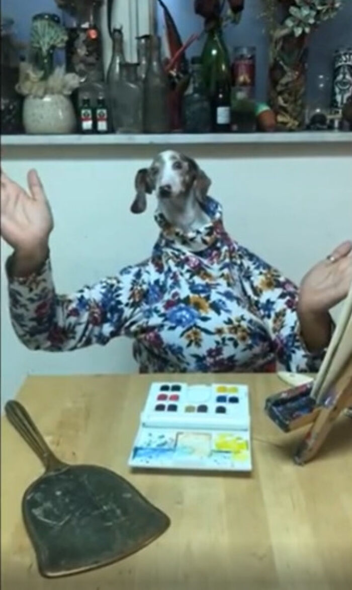 Funny animal photos: A dachshund wearing a floral shirt with human arms, sitting at a table with paints.