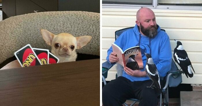113 Of The Funniest And Most Ridiculous Animal Photos Ever Shared