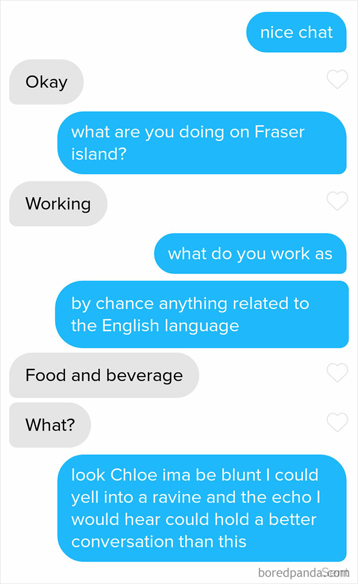 A text message conversation where one person delivers a clever clapback, stating an echo in a ravine would be a better conversation.