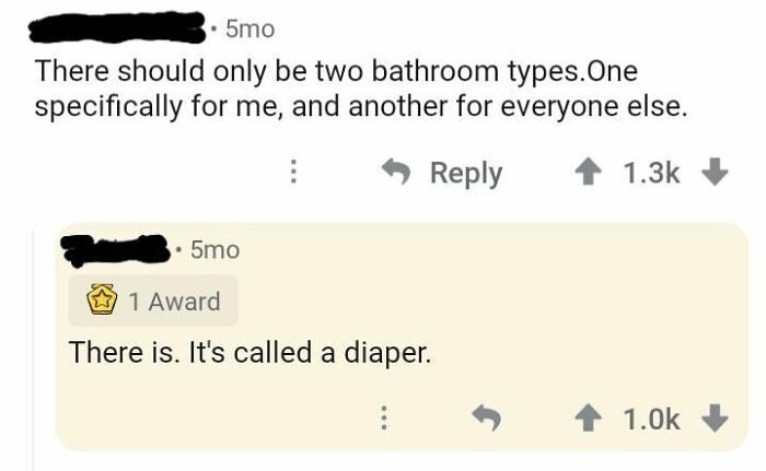 A social media screenshot displaying a clever clapback, suggesting a diaper for a personal bathroom.