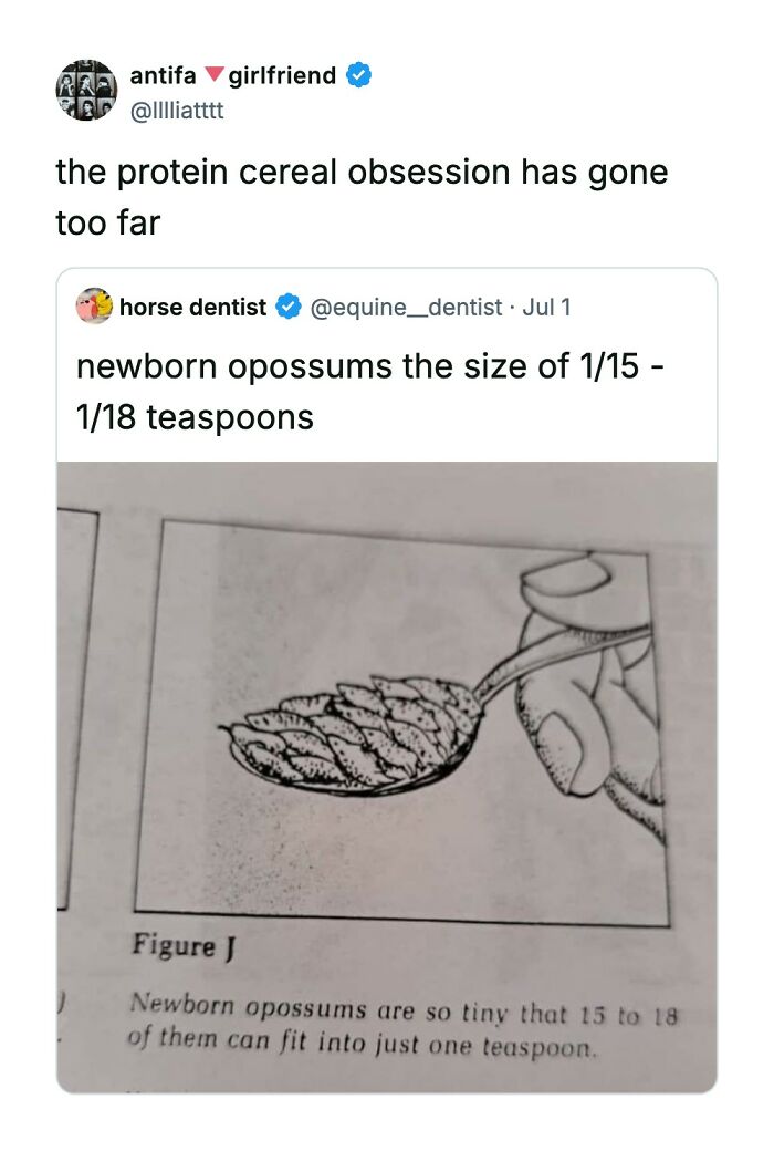 Funny comments on a tweet comparing the size of newborn opossums to protein cereal obsession.