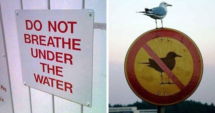 77 Signs That Hilariously Failed At The One Thing They Were Supposed To Do