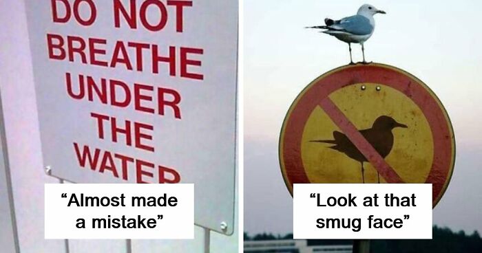 77 Signs That Hilariously Failed At The One Thing They Were Supposed To Do