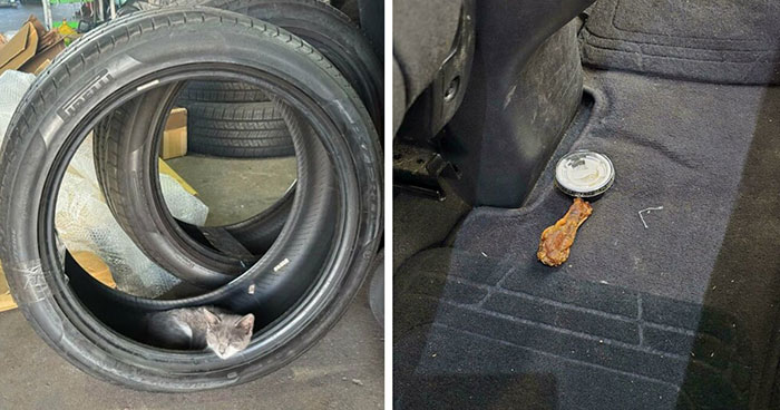 99 Times Car Mechanics Had To Take Pics Of What They Were Dealing With So Others Would Believe Them (New Pics)