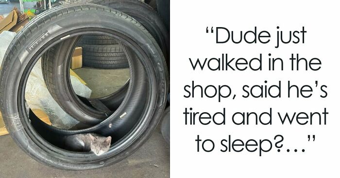 99 Times Car Mechanics Had To Take Pics Of What They Were Dealing With So Others Would Believe Them (New Pics)
