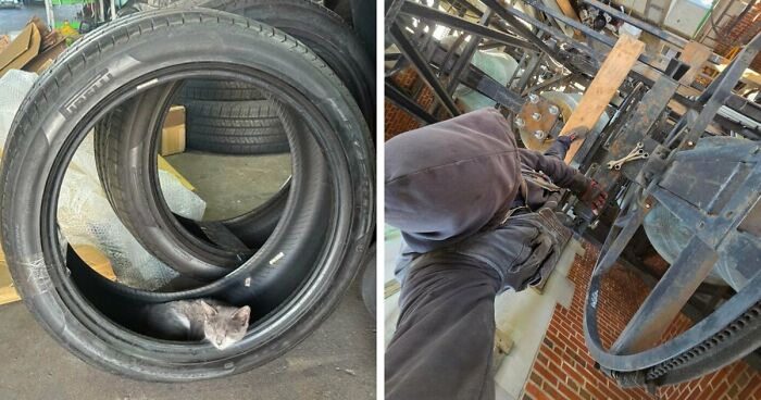 99 Times Car Mechanics Had To Take Pics Of What They Were Dealing With So Others Would Believe Them (New Pics)