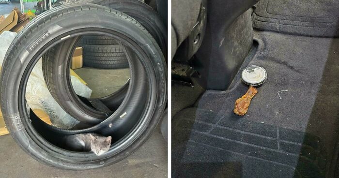 99 Times Car Mechanics Had To Take Pics Of What They Were Dealing With So Others Would Believe Them (New Pics)