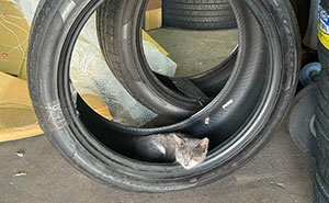 99 Car Mechanics Share The Times They Were Left Shaking Their Heads In Disbelief (New Pics)