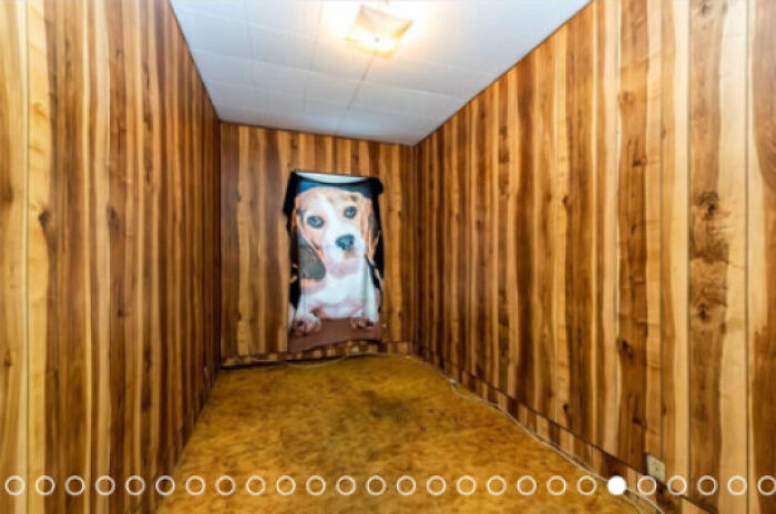 Interior Design Influencers Are Already Predicting A Strong Year For Images Of Dogs Printed On A Towel Hung Over The Only Window In A Wooden Room