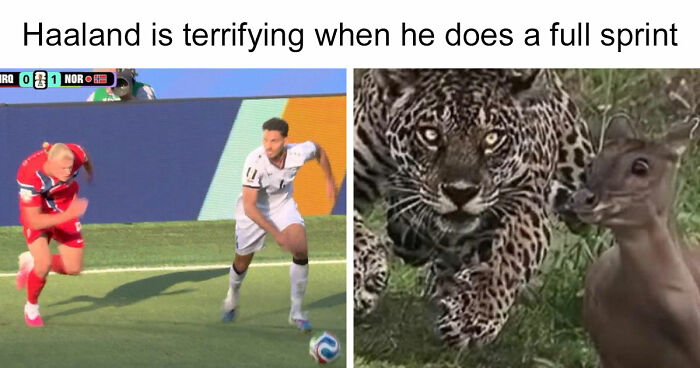 56 Hilarious World Cup Memes That Perfectly Represent The Chaos That’s Been Happening