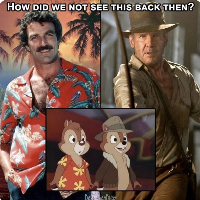 A split image of Tom Selleck and Harrison Ford, with Chip 'n' Dale below them, for Gen X memes.