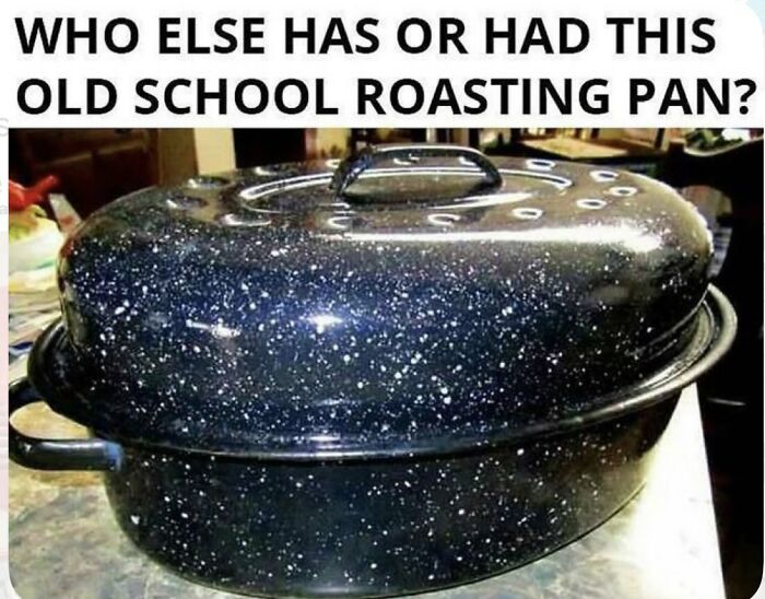 A Gen X meme displaying an old school black speckled roasting pan, a nostalgic kitchen item.