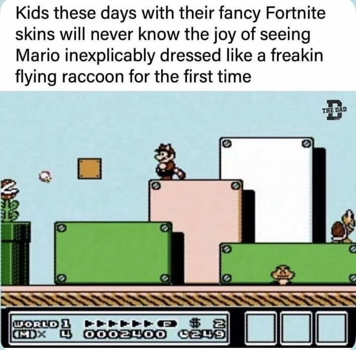 A Super Mario Bros. 3 Gen X meme, showing Tanooki Mario flying over green blocks, evoking gaming memories.