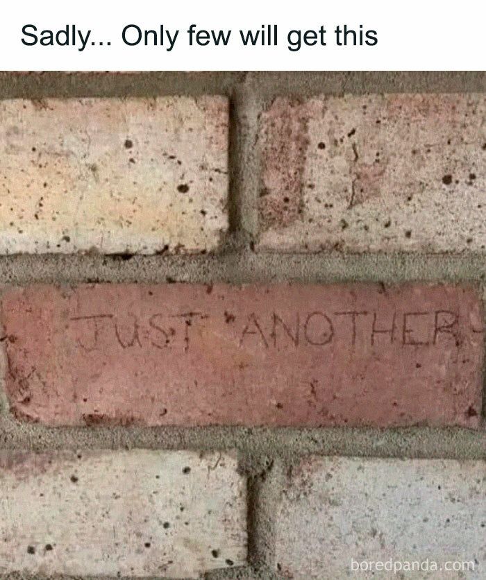 A Gen X meme brick wall with JUST ANOTHER carved into a red brick, only few will get this.
