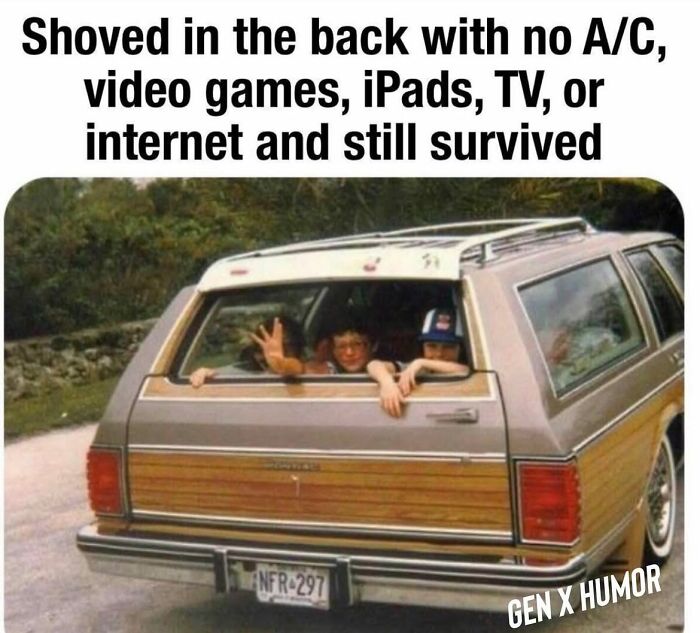 Two kids in the back of an old station wagon, looking out the back window. A Gen X meme about childhood road trip memories.