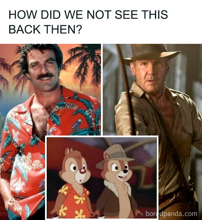 A split image of Tom Selleck and Harrison Ford, with Chip 'n' Dale below them, for Gen X memes.