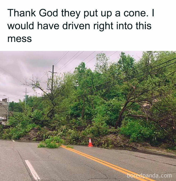 A fallen tree blocking a road with a single orange traffic cone, a Gen X meme unlocking memories.