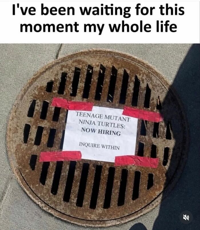A Gen X meme with a hiring sign for Teenage Mutant Ninja Turtles on a manhole cover, a funny Gen X meme.
