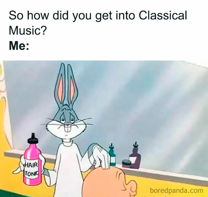 Bugs Bunny giving Elmer Fudd a head massage with hair tonic. A Gen X meme about how many discovered classical music.