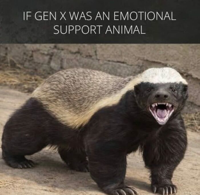A Gen X meme showing an angry honey badger labeled as a Gen X emotional support animal, a funny Gen X meme.
