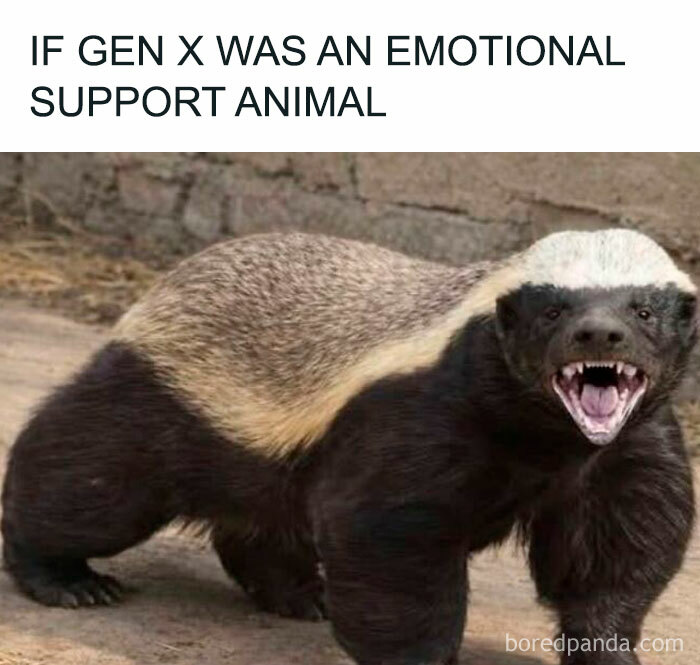 A Gen X meme showing an angry honey badger labeled as a Gen X emotional support animal, a funny Gen X meme.