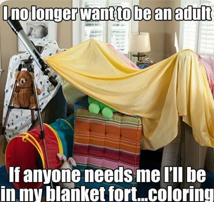 Gen X Memes featuring a blanket fort, representing a nostalgic adult escape to childhood memories.