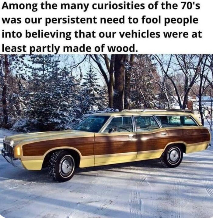 Gen X Memes showcasing a vintage station wagon with wood paneling, a classic car memory from the 70s.