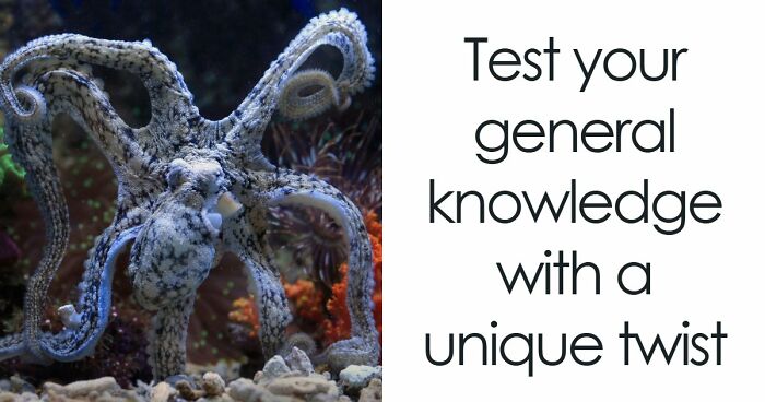 General Knowledge Number Trivia – 20 Questions, But Only 6 Possible Answers