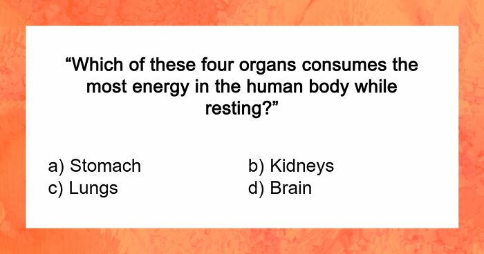 “How Far Can You Get?”: 18 General Knowledge Questions That Go From Easy To Hard