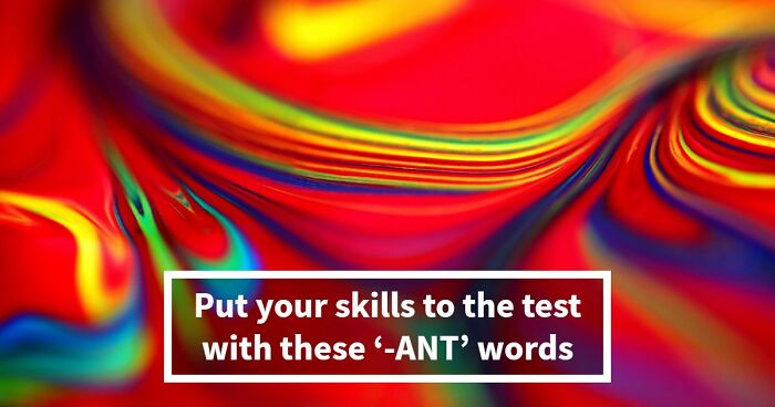 Prove Your Language IQ By Naming 18 Words From Everyday Life That All End In ‘-ANT’
