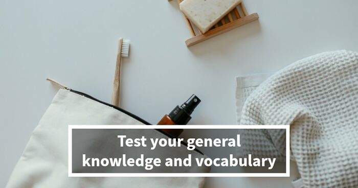 Prove Your Language IQ By Naming 18 Words From Everyday Life That All End In ‘-ANT’