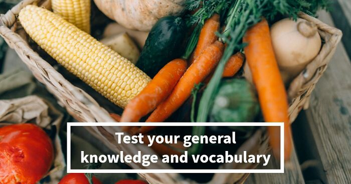 Prove Your Language IQ By Naming 18 Words From Everyday Life That All End In ‘-ANT’
