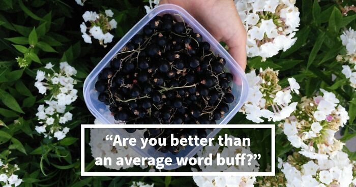 Prove Your Language IQ By Naming 18 Words From Everyday Life That All End In ‘-ANT’