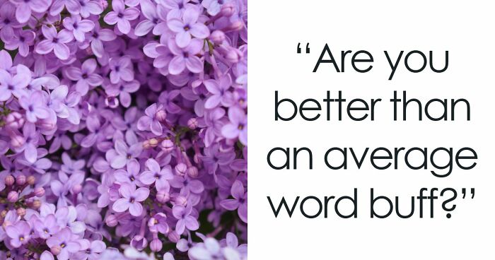 Prove Your Language IQ By Naming 18 Words From Everyday Life That All End In ‘-ANT’