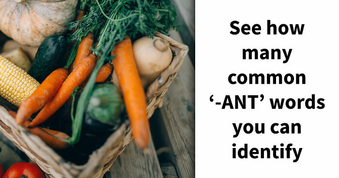 Prove Your Language IQ By Naming 18 Words From Everyday Life That All End In ‘-ANT’