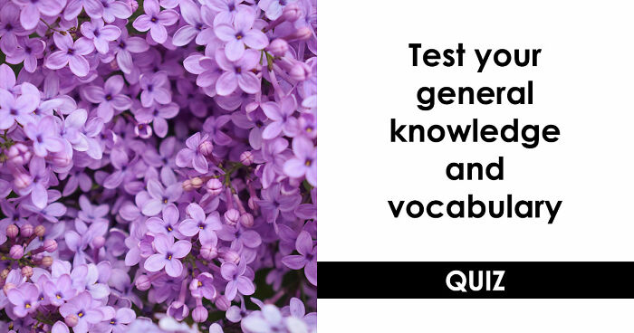 Prove Your Language IQ By Naming 18 Words From Everyday Life That All End In ‘-ANT’