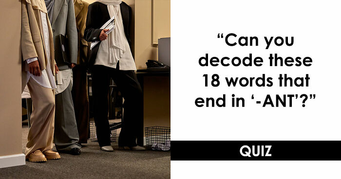 Prove Your Language IQ By Naming 18 Words From Everyday Life That All End In ‘-ANT’