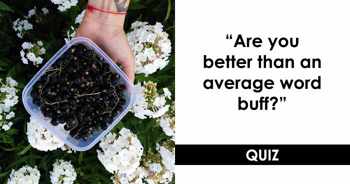 Prove Your Language IQ By Naming 18 Words From Everyday Life That All End In ‘-ANT’