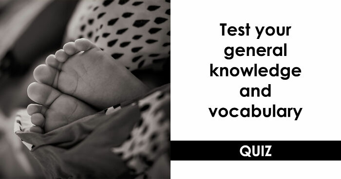 Prove Your Language IQ By Naming 18 Words From Everyday Life That All End In ‘-ANT’