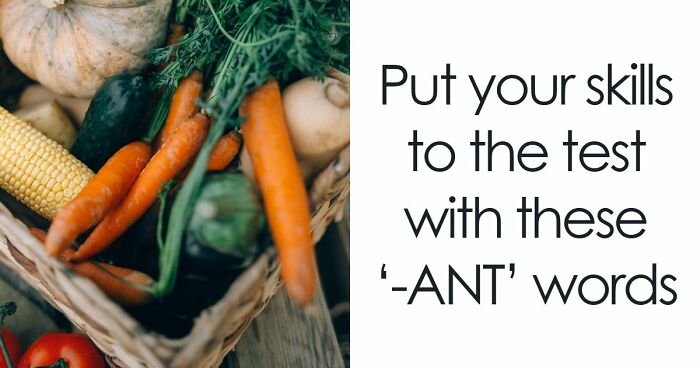 Prove Your Language IQ By Naming 18 Words From Everyday Life That All End In ‘-ANT’