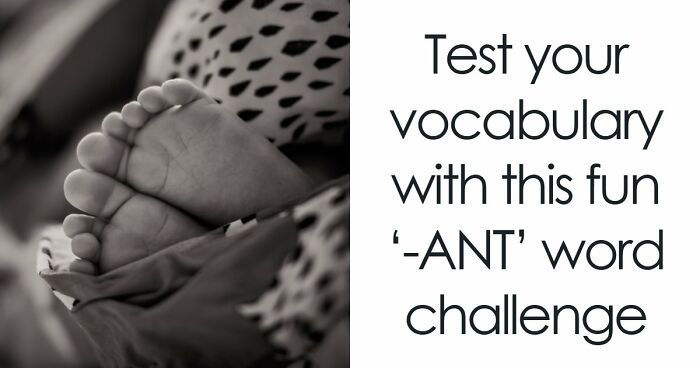 Prove Your Language IQ By Naming 18 Words From Everyday Life That All End In ‘-ANT’