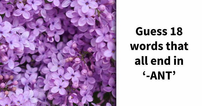 Prove Your Language IQ By Naming 18 Words From Everyday Life That All End In ‘-ANT’