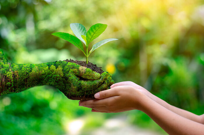 A hand made of forest and soil holding a young plant, passed to a child's hands, illustrating common things that are far worse than we realize.