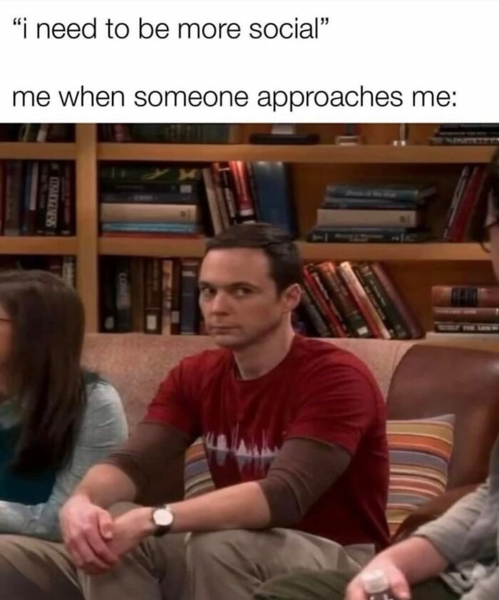 Sheldon Cooper looking awkward on a couch, illustrating a relatable meme about wanting to be social.