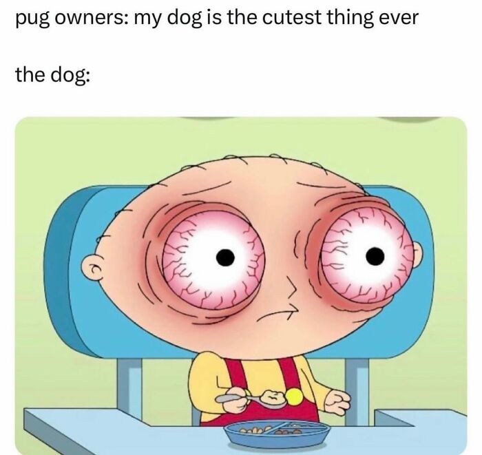 A hilarious meme showing a cartoon baby with extremely bloodshot, tired eyes, representing a pug owners dog.