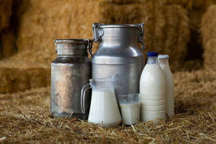 Milk cans, bottles, and a pitcher on hay, symbolizing simple understanding versus mansplaining examples.