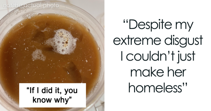 Woman Takes Revenge On Boyfriend For Putting A Camera In Their Home, Ruining Their Relationship
