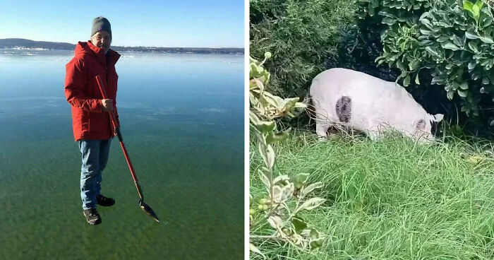 78 Real Life Optical Illusion That Will Leave Your Brain Shaken, Not Stirred