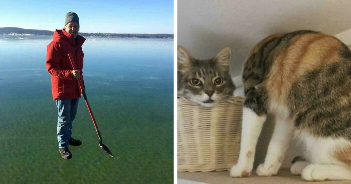 78 Real Life Optical Illusion That Will Leave Your Brain Shaken, Not Stirred